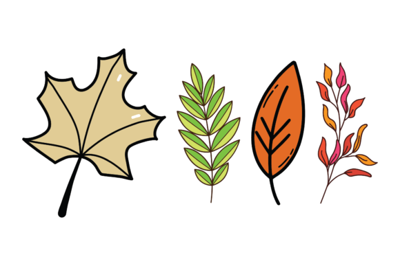 Hand Drawn Colorful Leaves Graphics Freebies