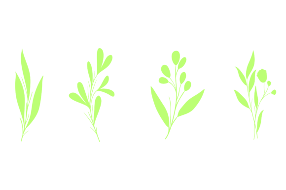Set Flower Botanical Graphics Freebies